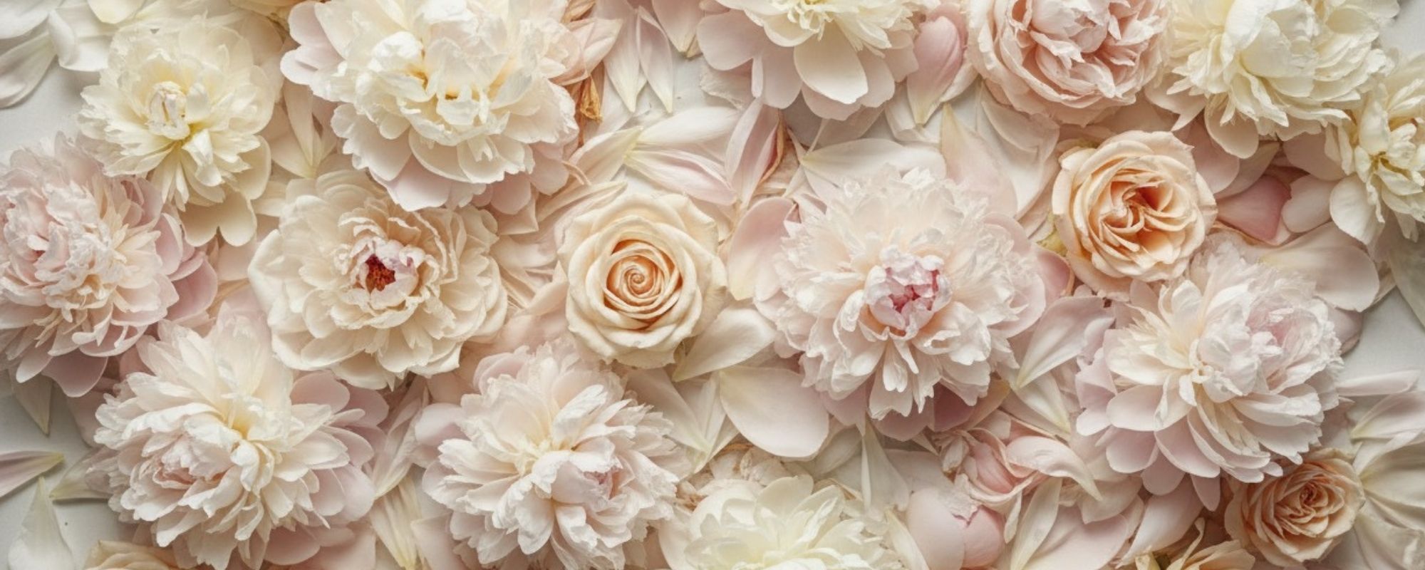 Soft blush and ivory peonies and roses — Bloom Evening Wear Collection by After Stilettos